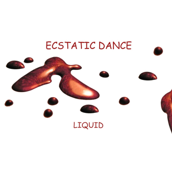 28/04 - Ecstatic Dance DJ Boto - Torhout